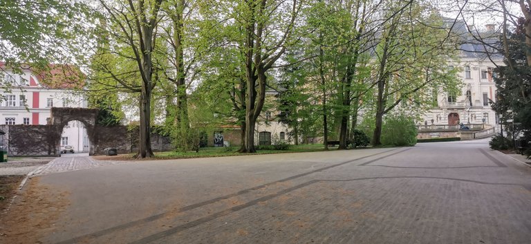 2025-04-21 06.45.13.jpg