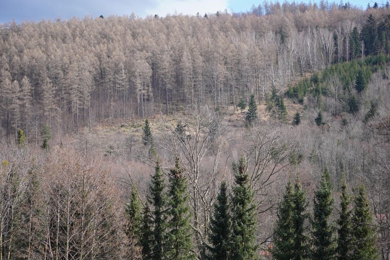 DSC03558.JPG