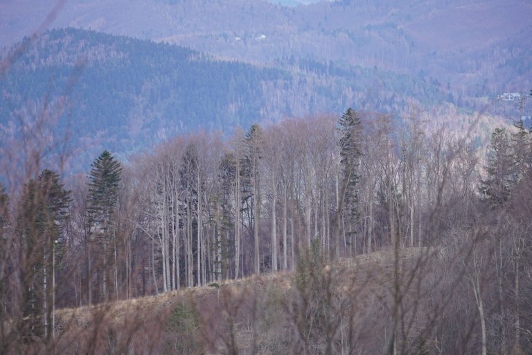 DSC03719.JPG