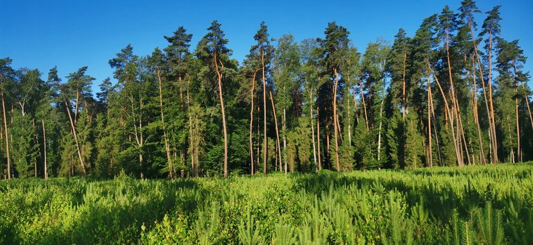 2025-07-01 06.20.45.jpg