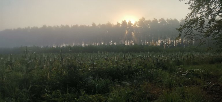 2025-07-14 05.54.47.jpg