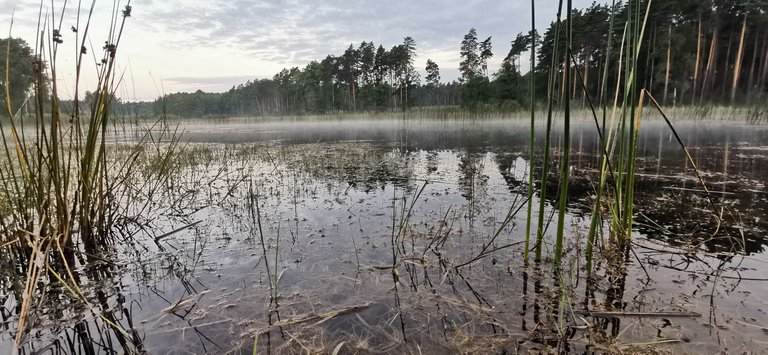 2025-07-19 05.35.19.jpg