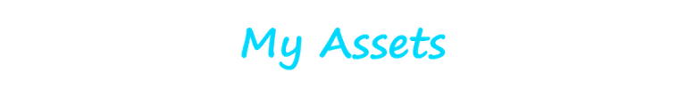 My Assets.png