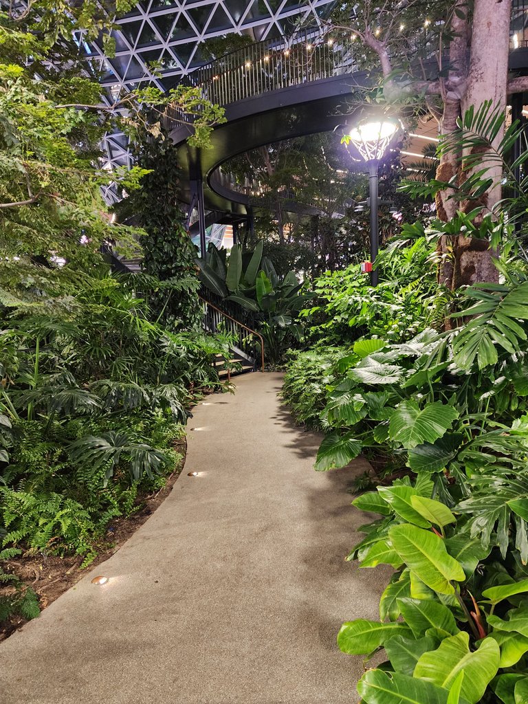 20240403_044010.jpg