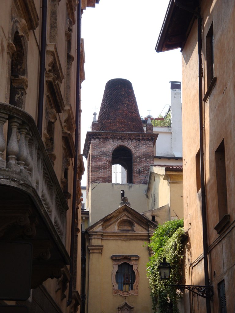 DSC00331.JPG