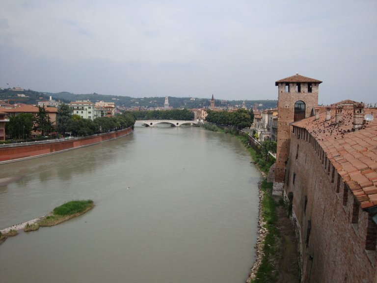 DSC00241.JPG