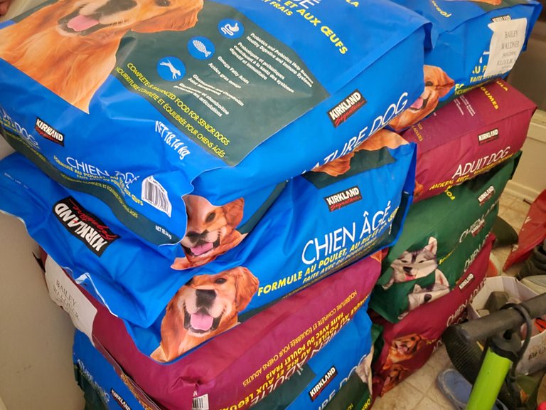 12 bags of doggo food. Various flavours so they don't get bored.
