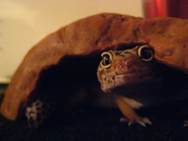 A photo of my girl from 10+ years ago, showcasing that wonderful smile.