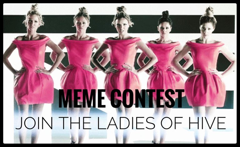 Meme_Contest.jpg