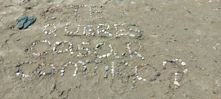 propuesta en la playa.jpg