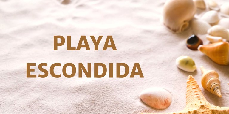 playa escondida.png