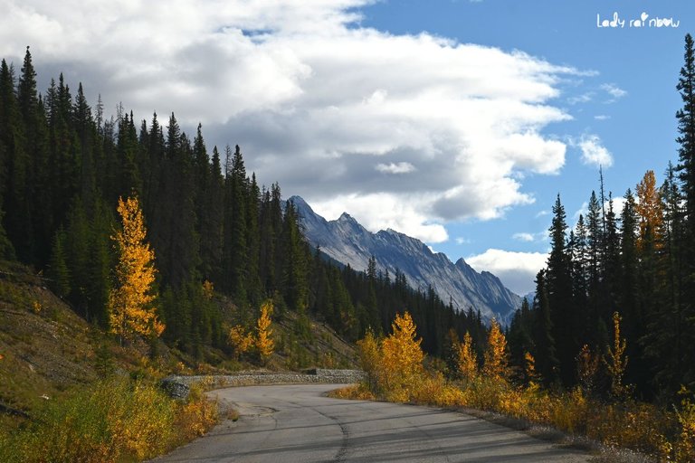 maligne lake road (1).jpg