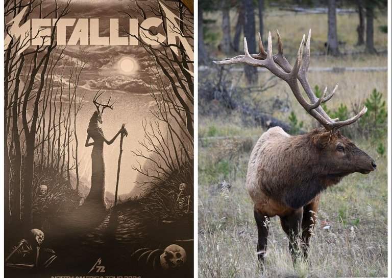 mettallica elk.jpg