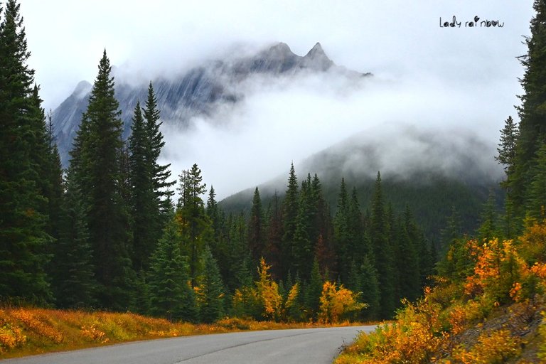 maligne road.jpg