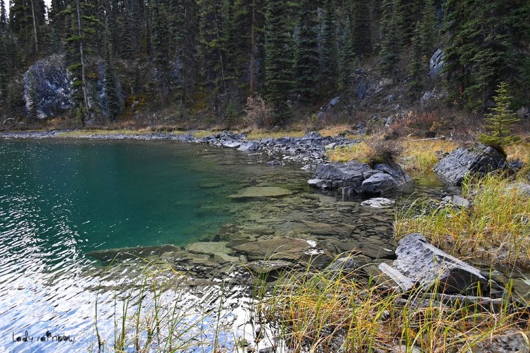 maligne lake (24).jpg