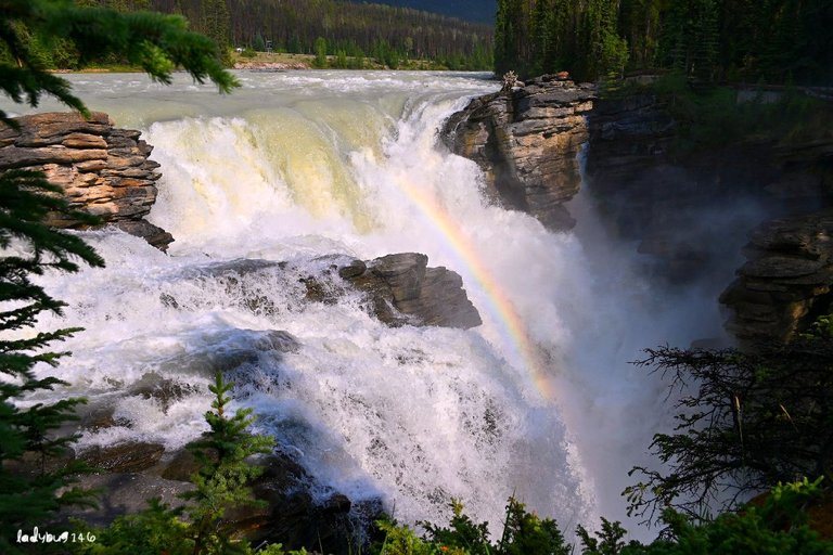 rainbow athabasca (1).jpg