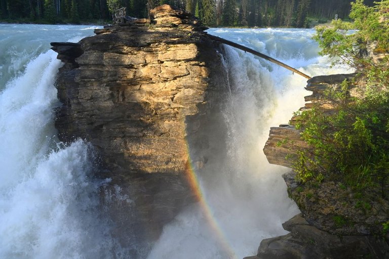 athabasca falls (5).jpg