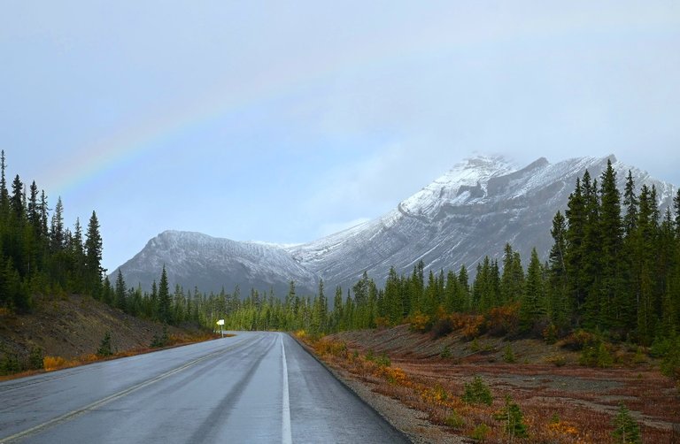 icefields rainbow (1).jpg