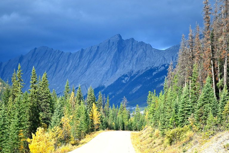 maligne lake road (28).jpg