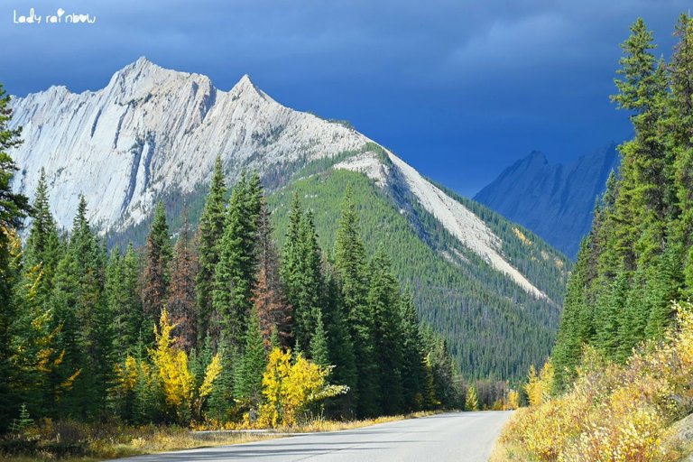 maligne lake road (32).jpg