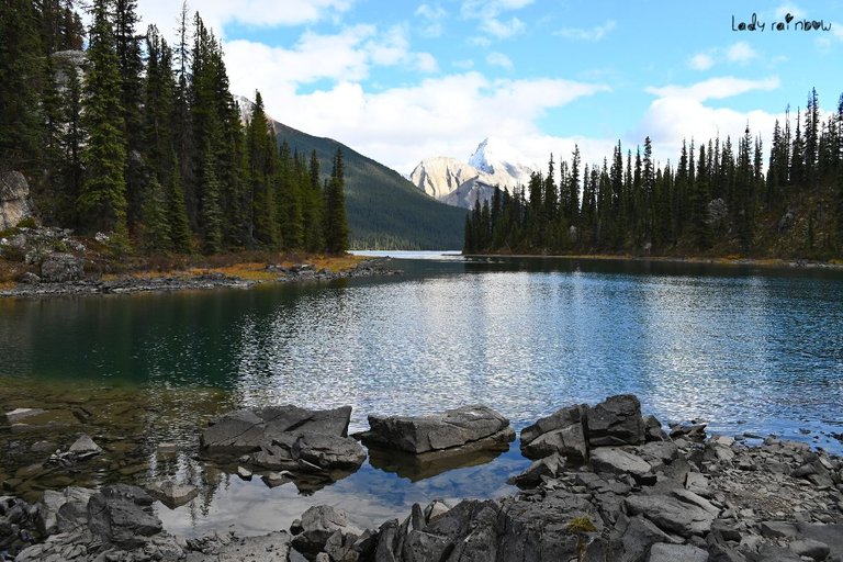 maligne lake (22).jpg