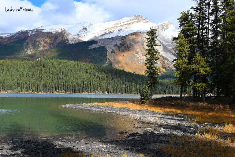 maligne lake (52).jpg