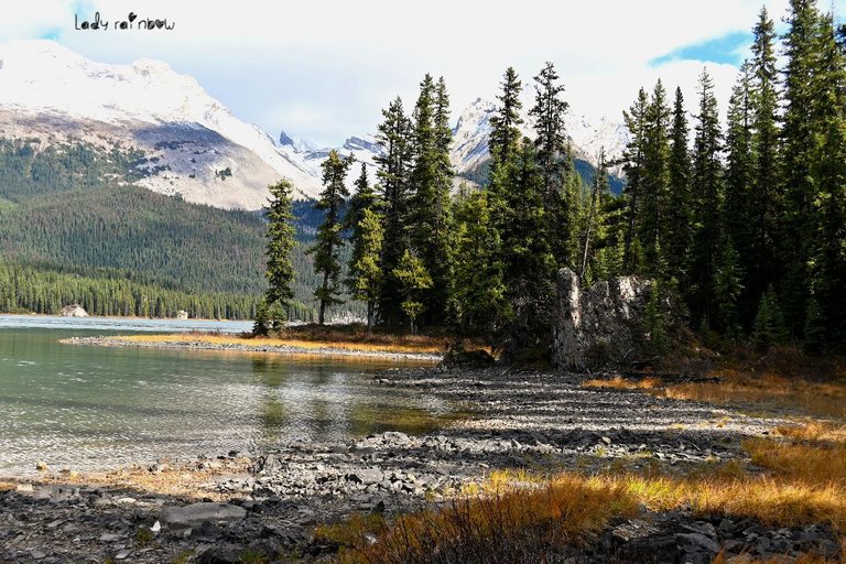 maligne lake (51).jpg