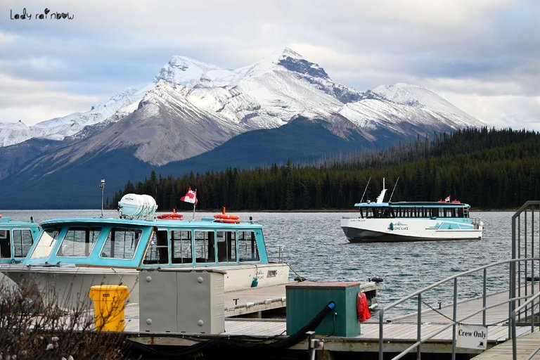 maligne lake (2).jpg