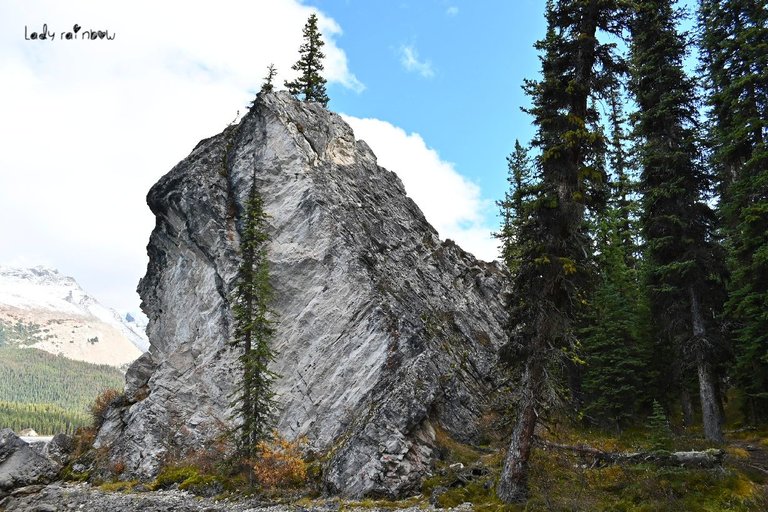 maligne lake (50).jpg