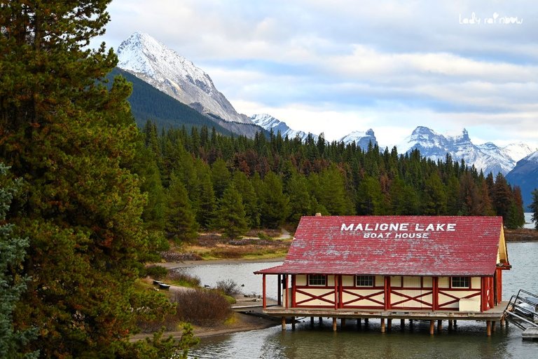 maligne lake (58).jpg