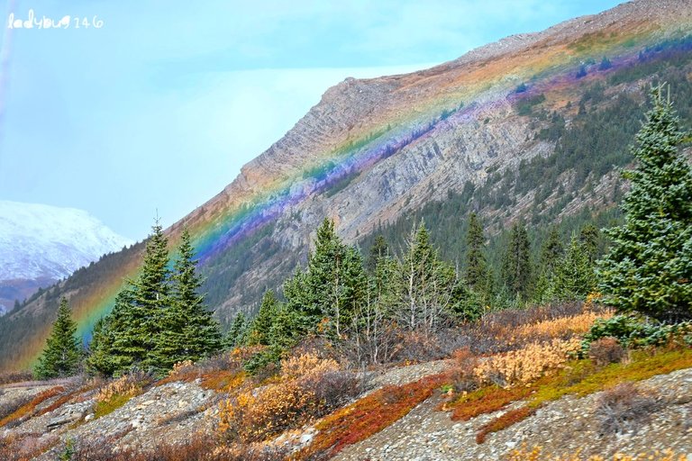 icefield rainbow (6).jpg