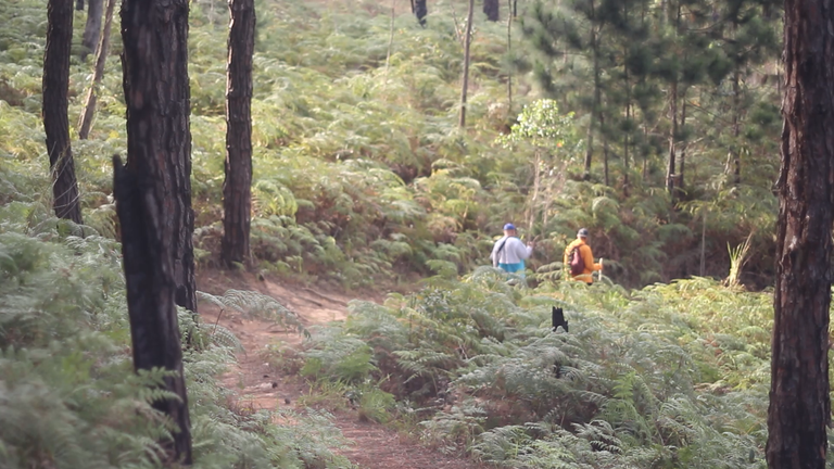 MVI_4729.MOV.00_00_01_01.Imagen fija001.png