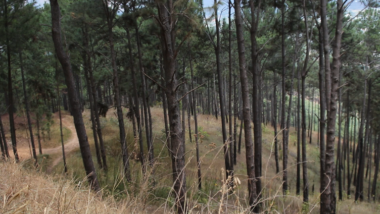 MVI_4510.MOV.00_00_00_00.Imagen fija001.png