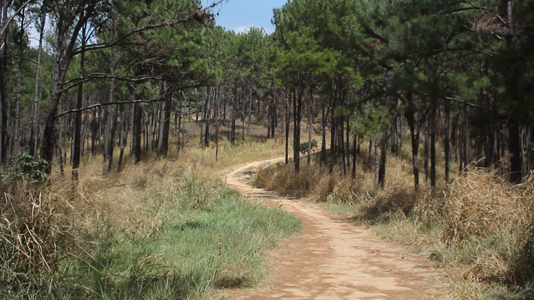 MVI_4500.MOV.00_00_03_03.Imagen fija001.png