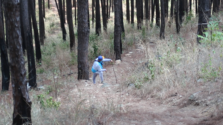 Montaje.00_04_10_08.Imagen fija007.png