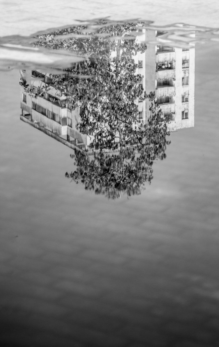 IMG_5258-Editar-2.jpg