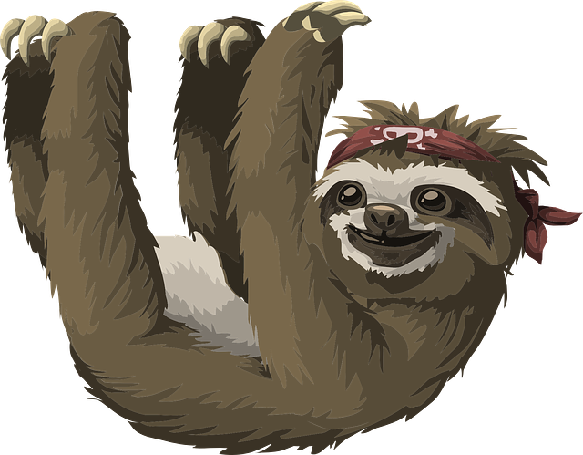 sloth-g43f63790d_640.png