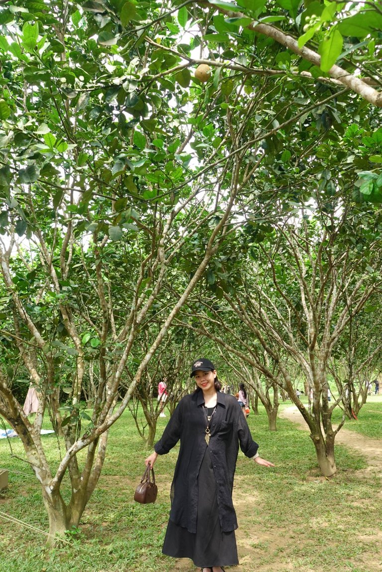 DSC08213.jpeg