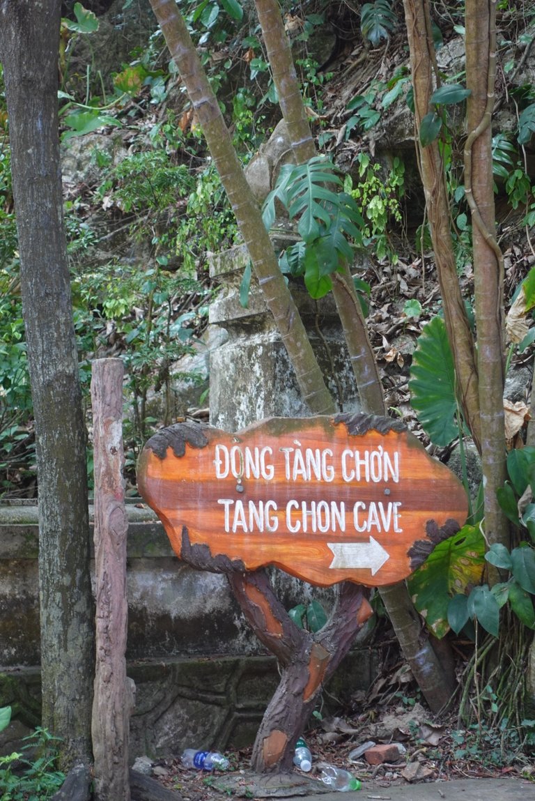 DSC09045.jpeg