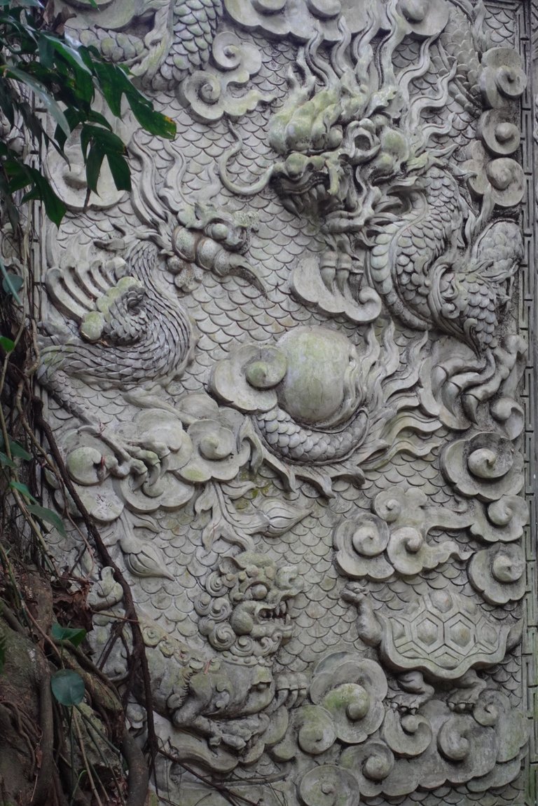 DSC09040.jpeg