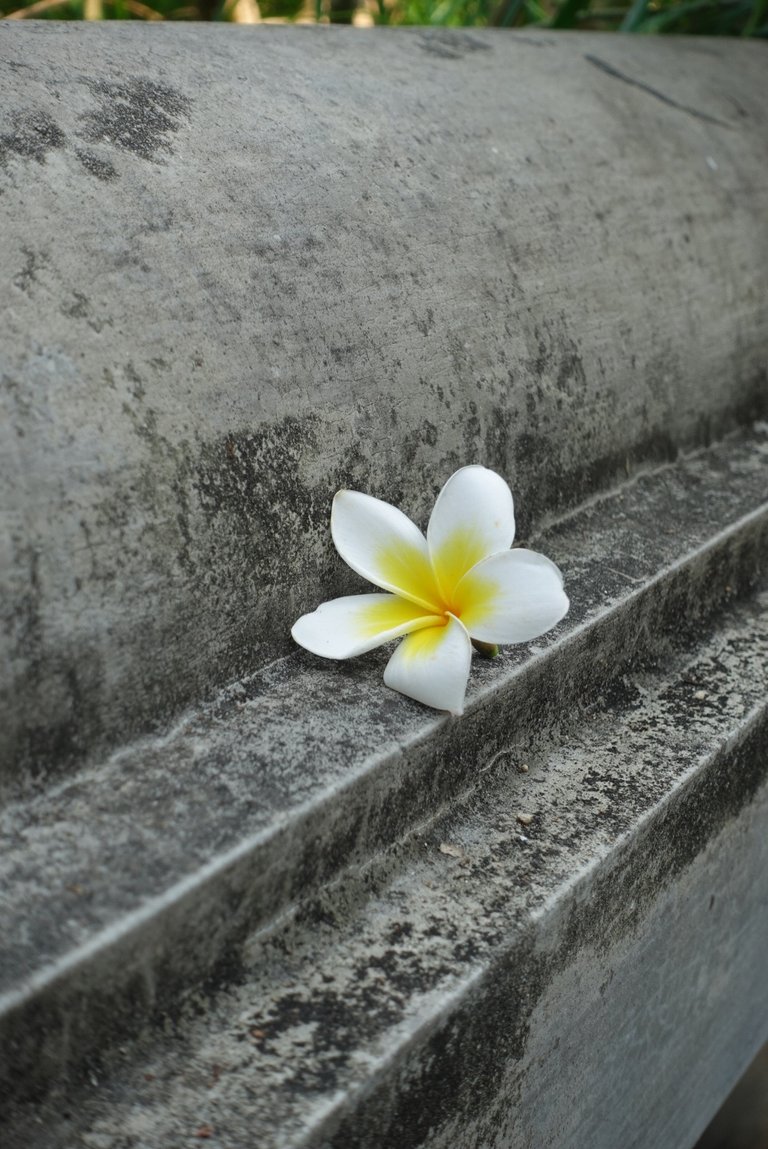 DSC09061.jpeg