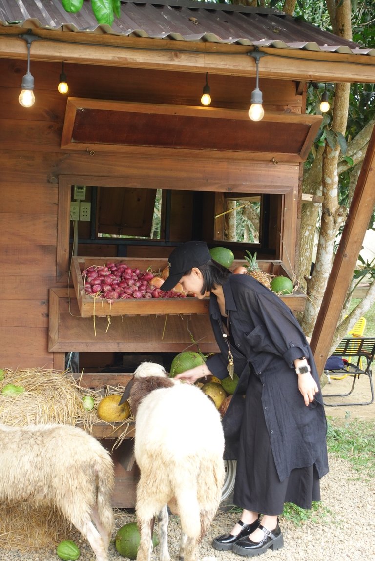 DSC08121.jpeg
