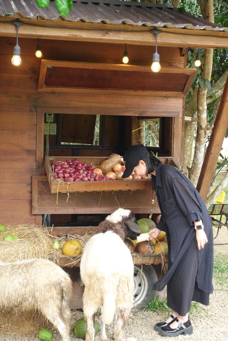 DSC08125.jpeg
