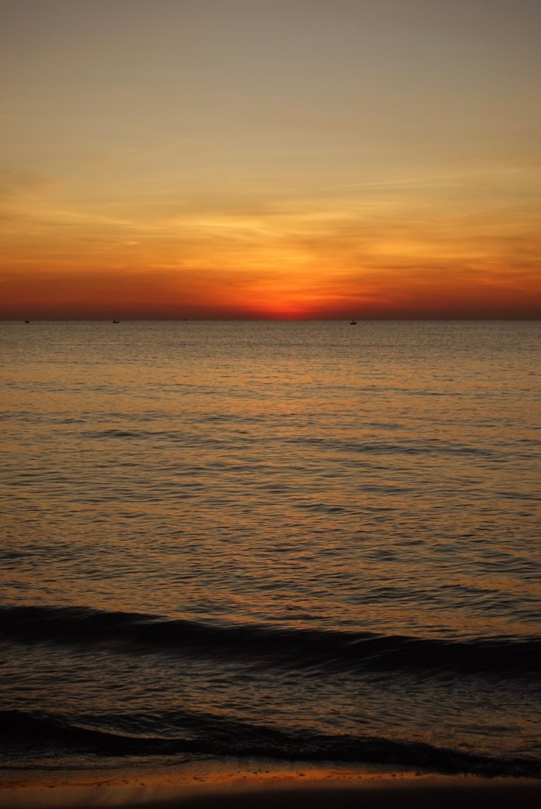 DSC06650.jpeg