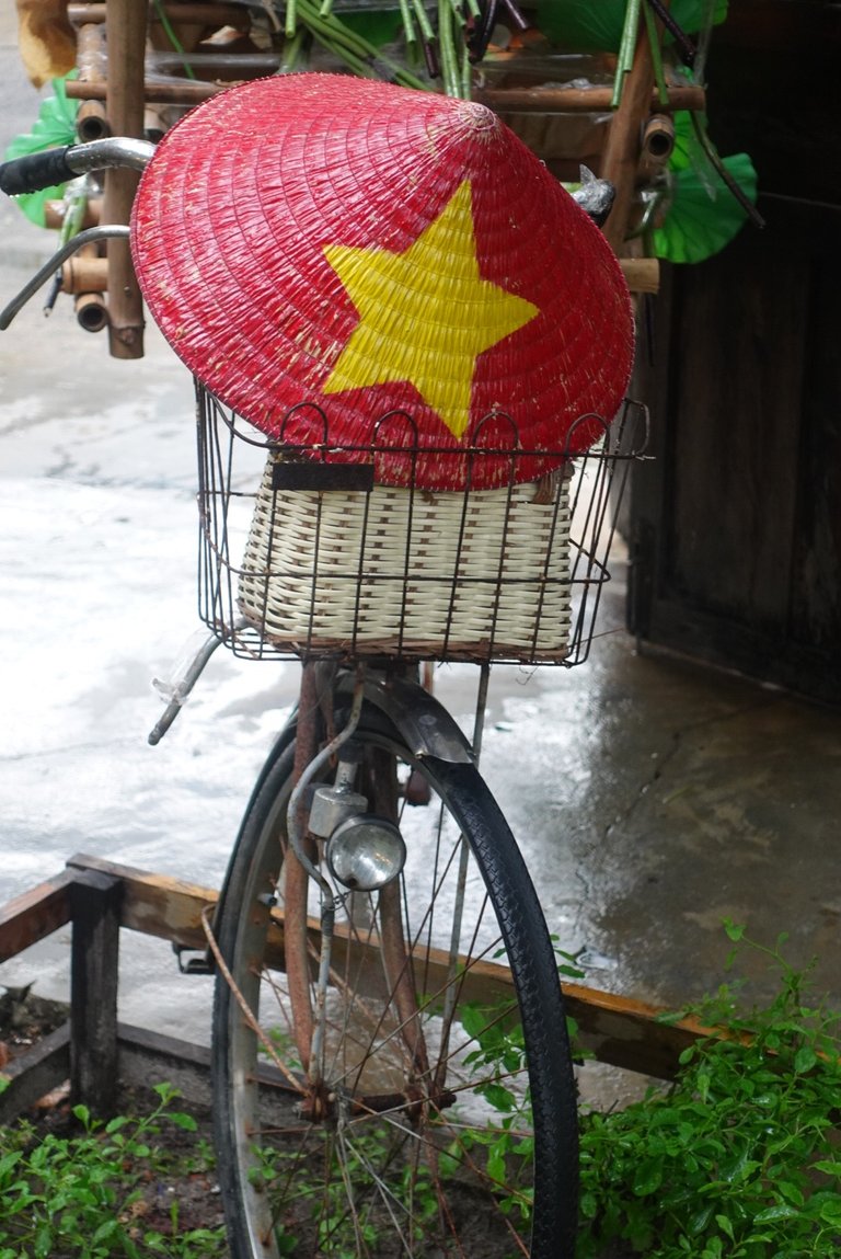 DSC07099.jpeg