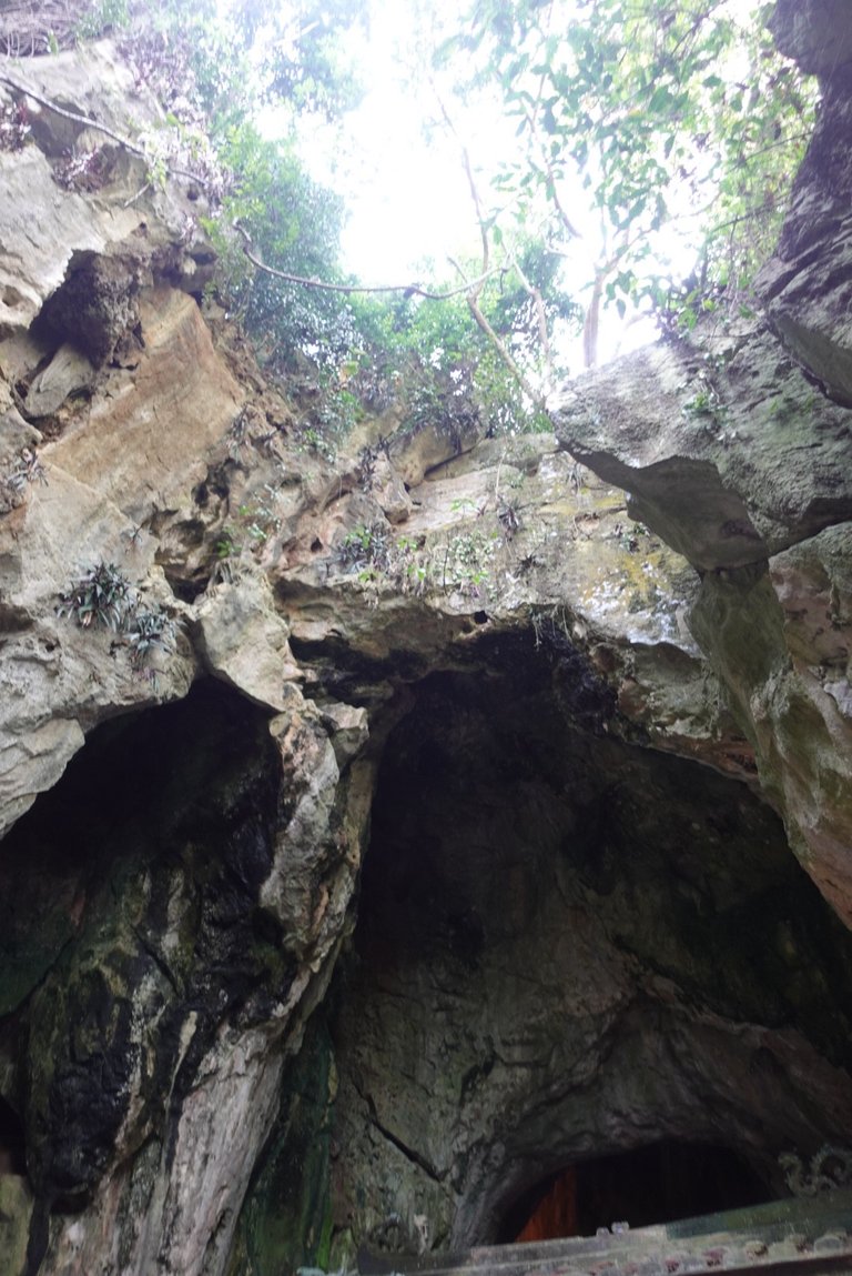 DSC09027.jpeg