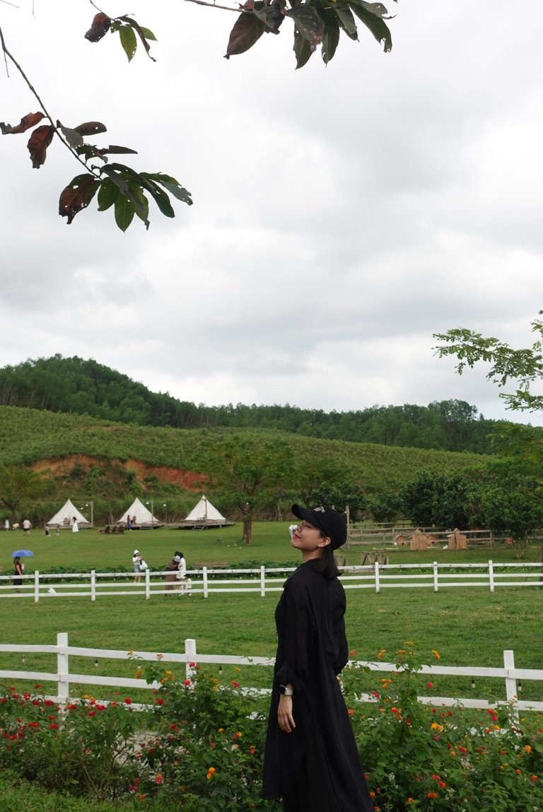 DSC08672.jpeg