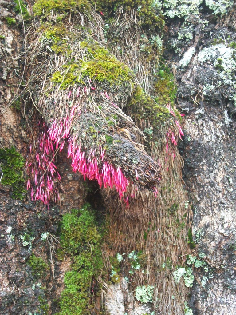 100_4037.JPG