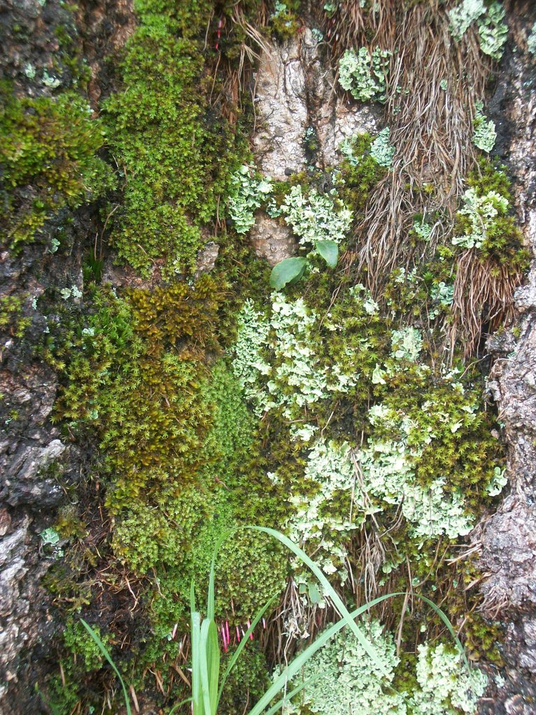 100_4039.JPG