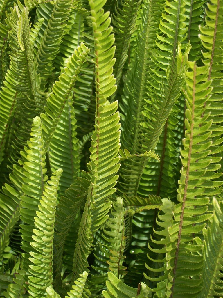 100_4077.JPG